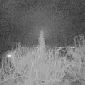 Webcam_20200212-203000