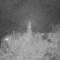 Webcam_20200212-210000