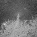 Webcam_20200212-213000