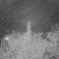 Webcam_20200212-220000