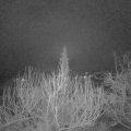 Webcam_20200213-053000