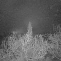 Webcam_20200213-060000