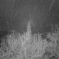 Webcam_20200213-063000