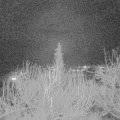 Webcam_20200213-190000