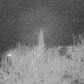 Webcam_20200213-193000