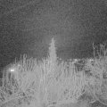 Webcam_20200213-213000