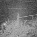 Webcam_20200213-220000