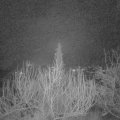Webcam_20200214-060000