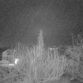 Webcam_20200214-063000