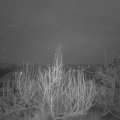 Webcam_20200214-070000