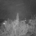Webcam_20200214-183000