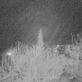 Webcam_20200214-203000
