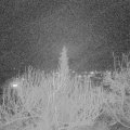 Webcam_20200214-210000