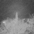 Webcam_20200214-213000