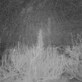 Webcam_20200215-050000