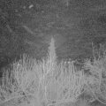 Webcam_20200215-053000