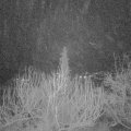 Webcam_20200215-063000