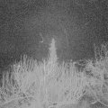 Webcam_20200216-050000