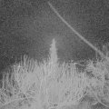 Webcam_20200216-053000
