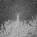 Webcam_20200216-060000