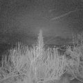 Webcam_20200216-063000