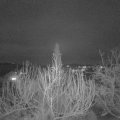 Webcam_20200216-183000