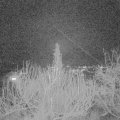 Webcam_20200216-190000