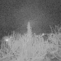Webcam_20200216-203000