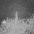 Webcam_20200216-213000