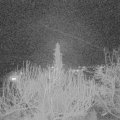 Webcam_20200216-220000