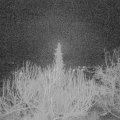 Webcam_20200217-053000