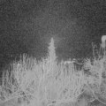 Webcam_20200217-060000