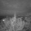 Webcam_20200217-183000