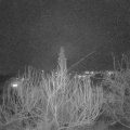 Webcam_20200217-190000
