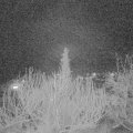 Webcam_20200217-220000