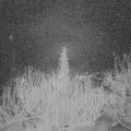 Webcam_20200218-050000