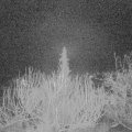 Webcam_20200218-053000