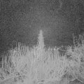 Webcam_20200218-063000