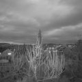 Webcam_20200218-181421