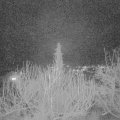 Webcam_20200218-204421