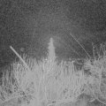 Webcam_20200219-050000