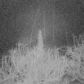 Webcam_20200219-053000
