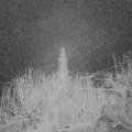 Webcam_20200219-060000