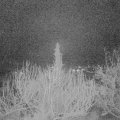 Webcam_20200219-063000