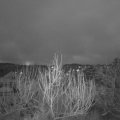 Webcam_20200219-070000