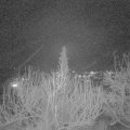 Webcam_20200219-190000