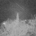 Webcam_20200219-193000