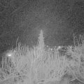 Webcam_20200219-203000