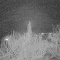 Webcam_20200219-210000