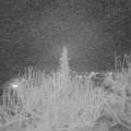 Webcam_20200219-213000